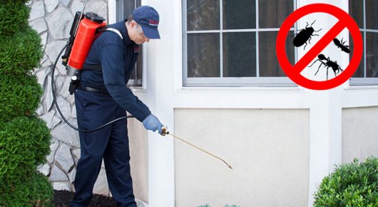 Çekmeköy Dezenfeksiyon böcek ilaçlama ve haşere kontrolü — ilaclama-tr.com